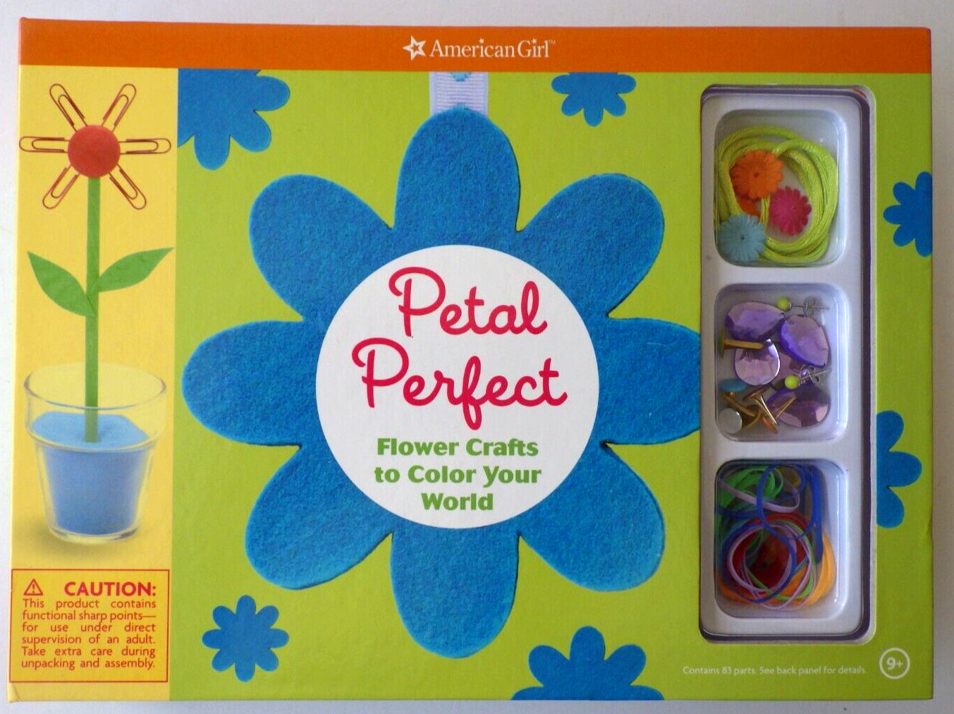 American Girl Petal Perfect Flower Crafts to Color Your World
