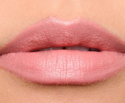 Estee Lauder Pure Color Envy Sculpting Lipstick 120 DESIRABLE .12Oz NIB